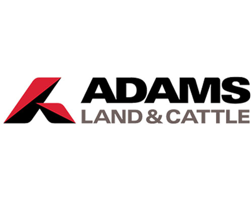 Adams Land Cattle500x400